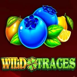 Slots logo of Wild Traces from Amusnet Interactive at Casa Pariurilor Casino